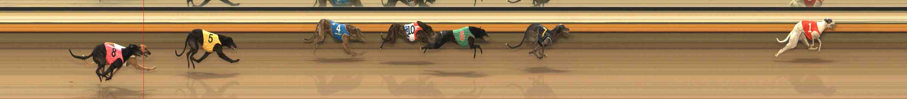 Photo finish for Warrnambool Race 8