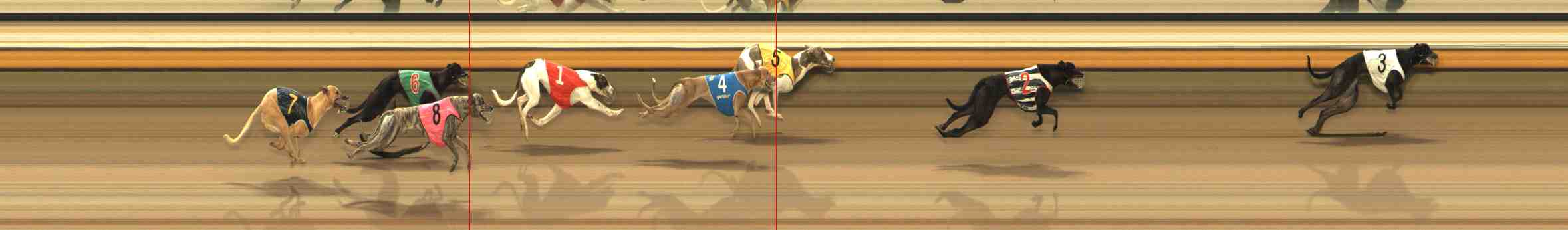 Photo finish for Warrnambool Race 9