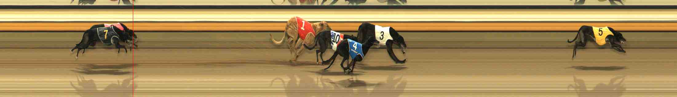 Photo finish for Warrnambool Race 10