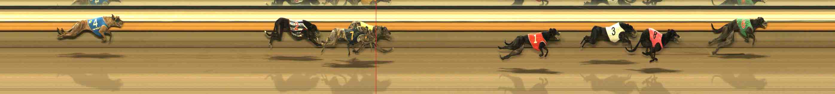 Photo finish for Warrnambool Race 11