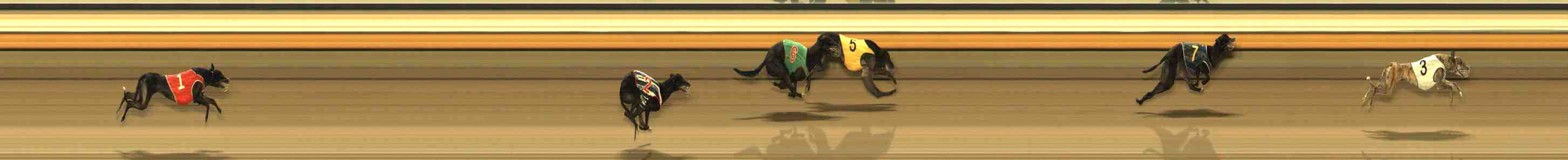 Photo finish for Warrnambool Race 12
