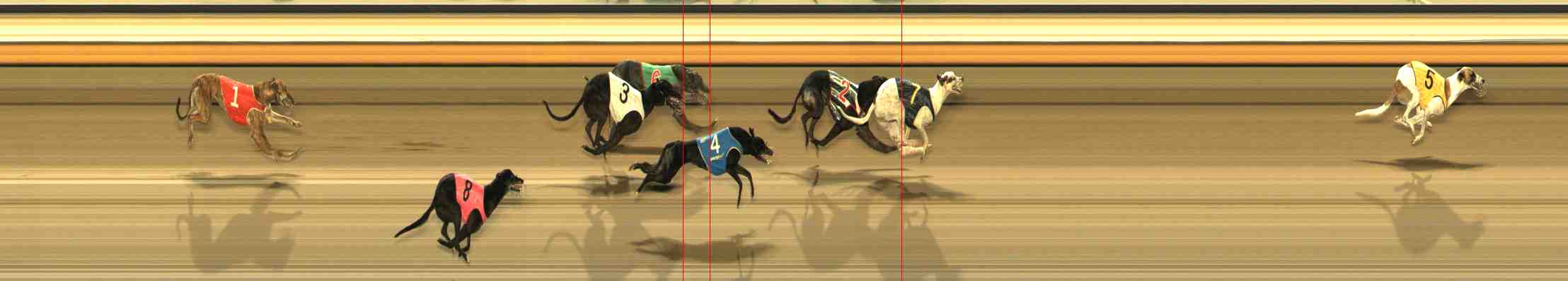Photo finish for Warrnambool Race 13