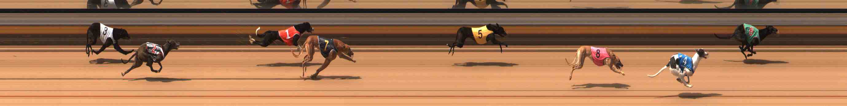 Photo finish for Warrnambool Race 2