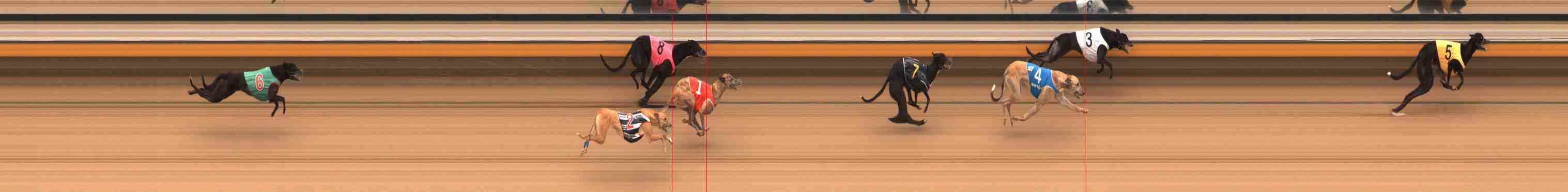 Photo finish for Warrnambool Race 4