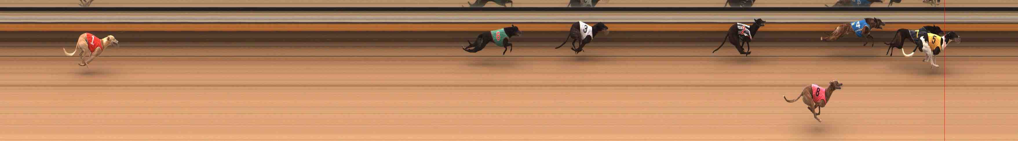 Photo finish for Warrnambool Race 5