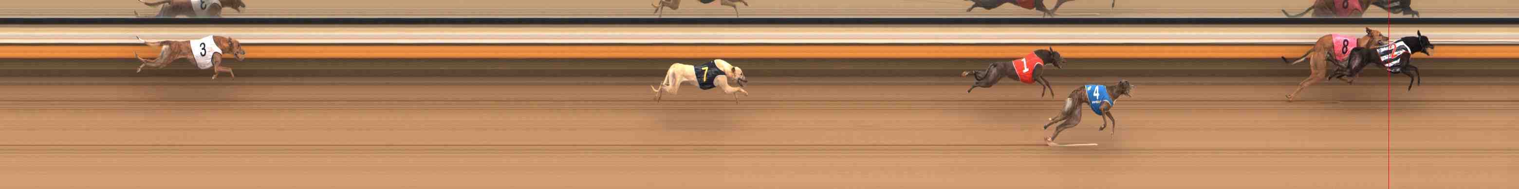 Photo finish for Warrnambool Race 6
