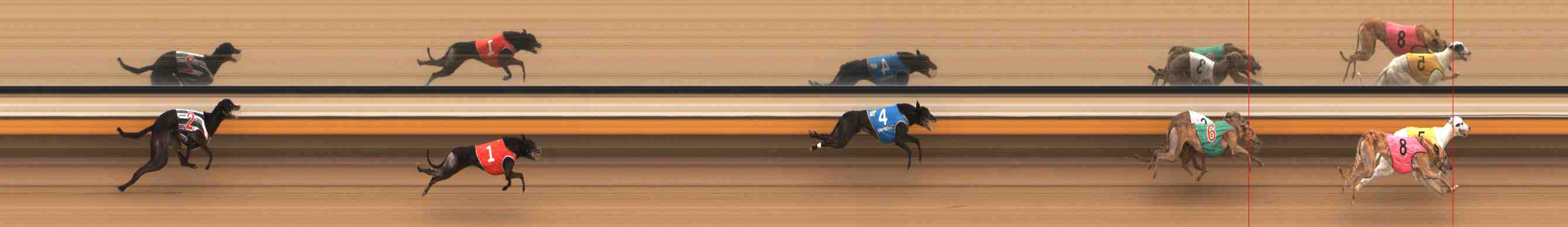 Photo finish for Warrnambool Race 7