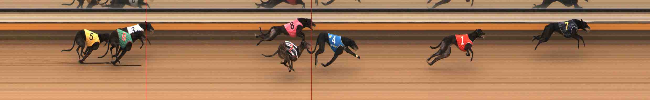 Photo finish for Warrnambool Race 8