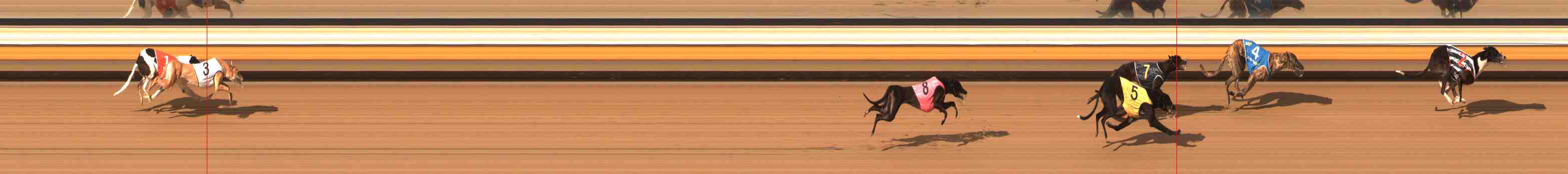 Photo finish for Warrnambool Race 9