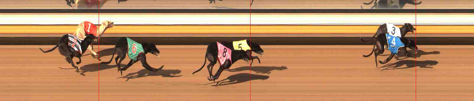 Photo finish for Warrnambool Race 10