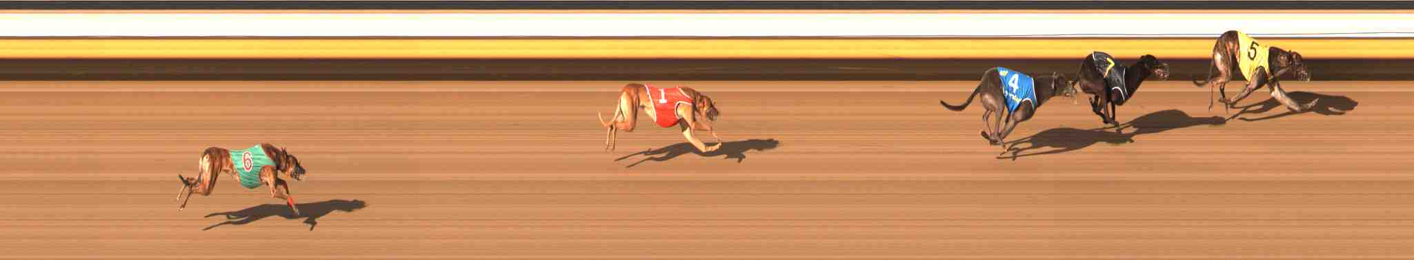 Photo finish for Warrnambool Race 11