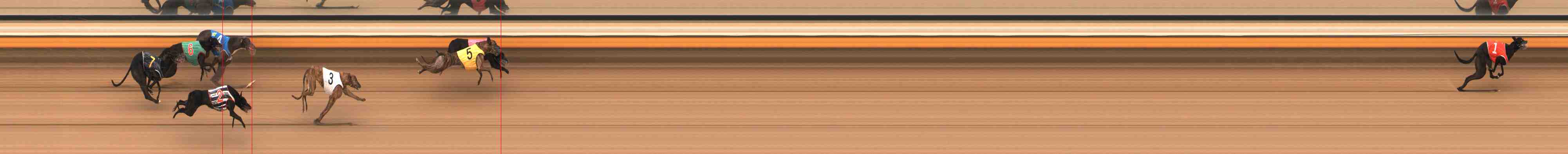 Photo finish for Warrnambool Race 12