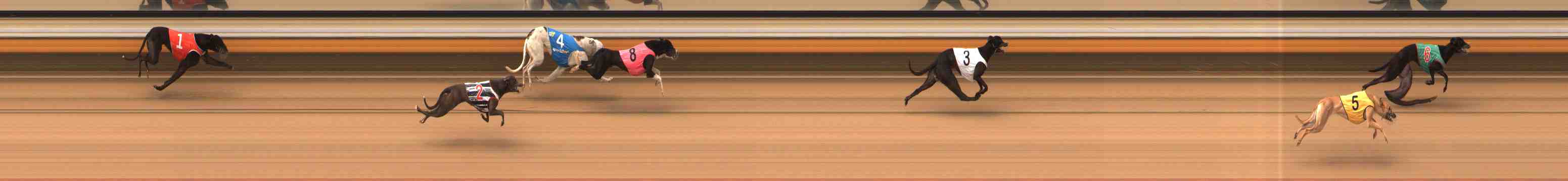 Photo finish for Warrnambool Race 1