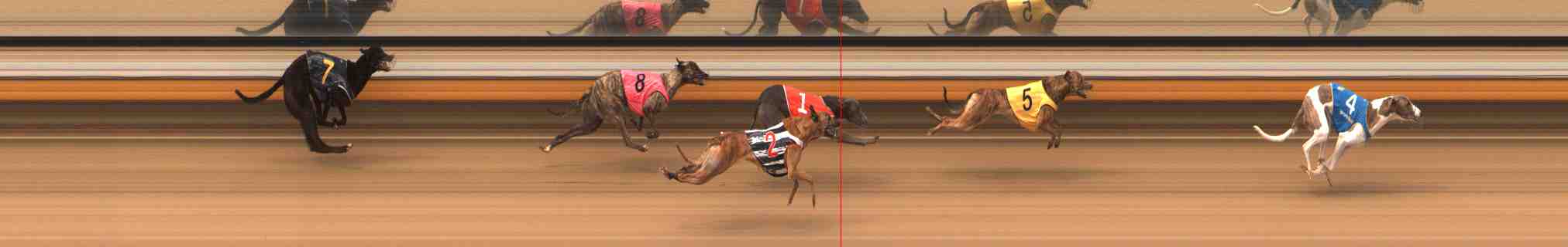 Photo finish for Warrnambool Race 2