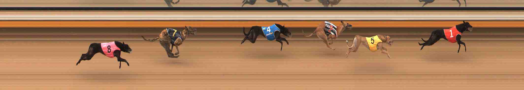 Photo finish for Warrnambool Race 3