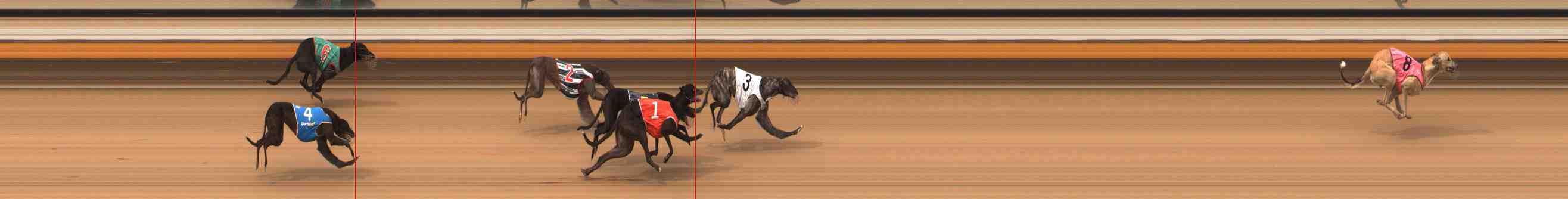 Photo finish for Warrnambool Race 4