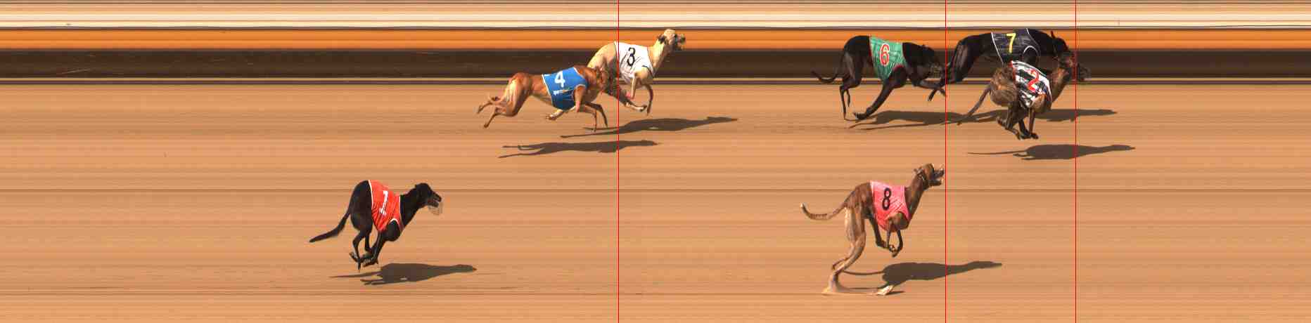 Photo finish for Warrnambool Race 5