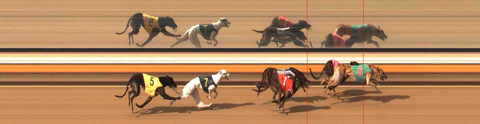 Photo finish for Warrnambool Race 7