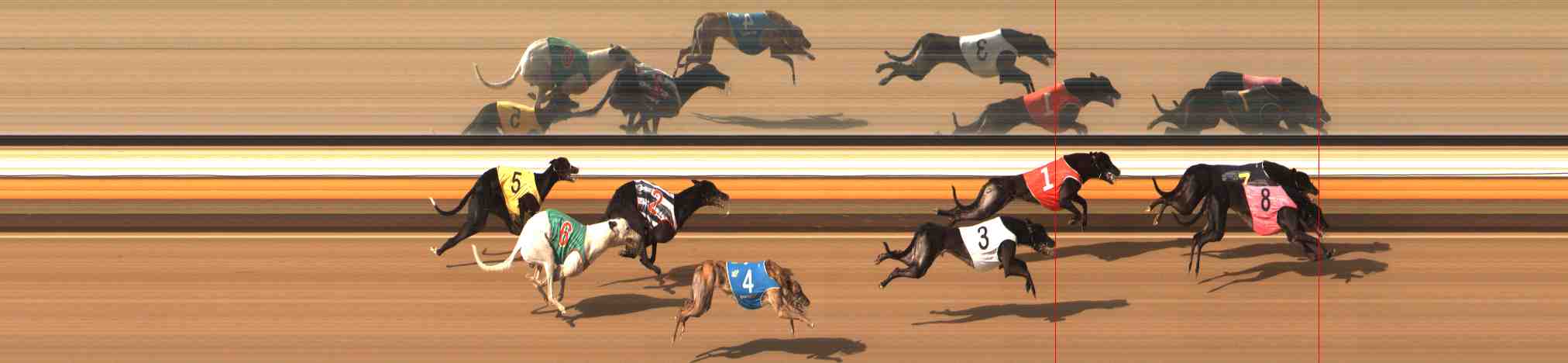 Photo finish for Warrnambool Race 8