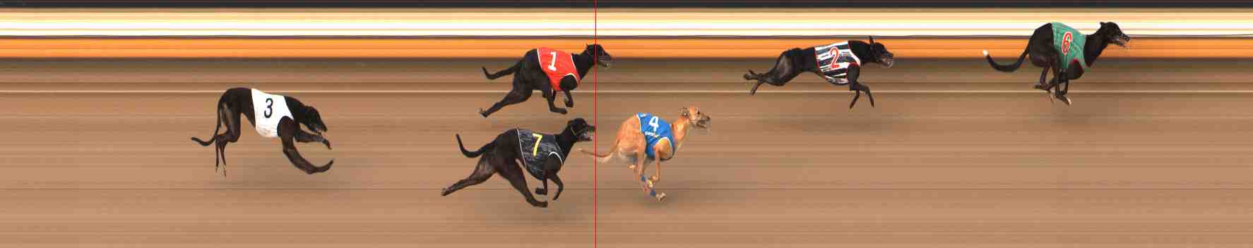 Photo finish for Warrnambool Race 9
