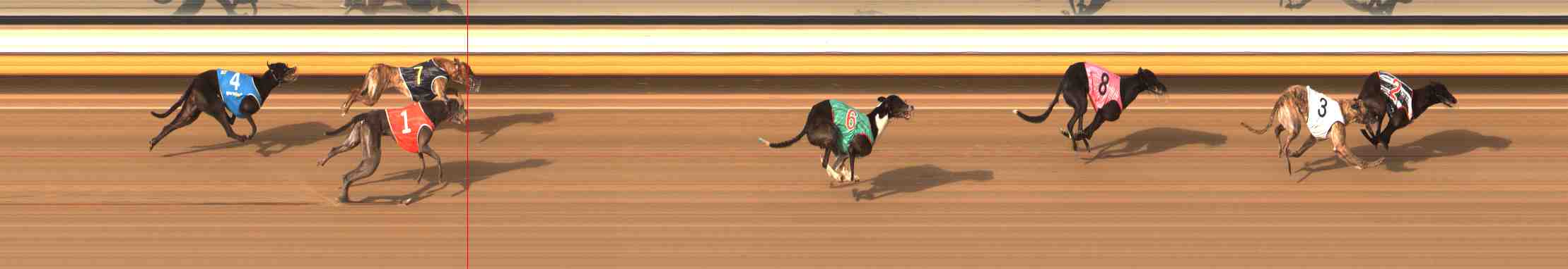 Photo finish for Warrnambool Race 10