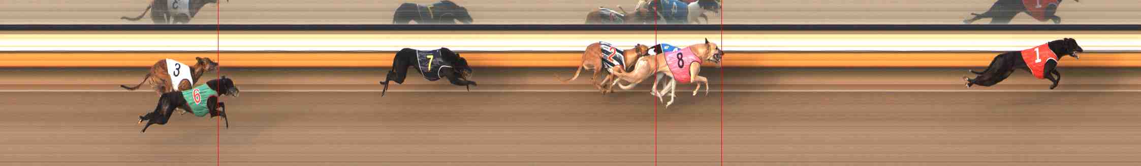 Photo finish for Warrnambool Race 12