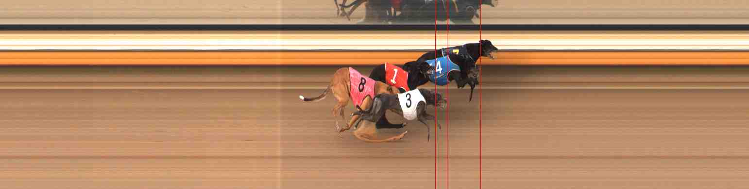 Photo finish for Warrnambool Race 13