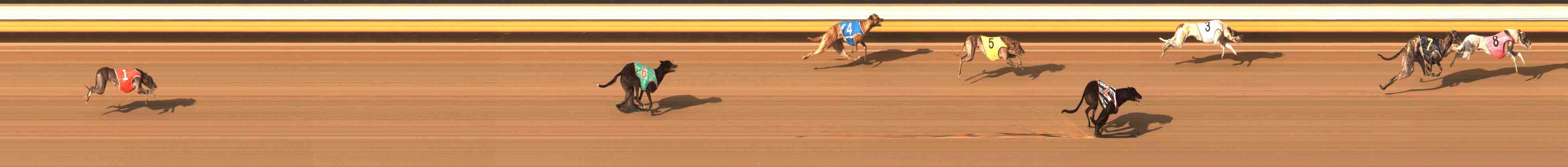 Photo finish for Warrnambool Race 1