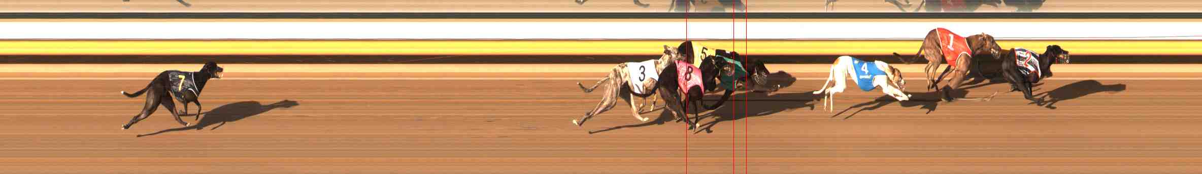 Photo finish for Warrnambool Race 2