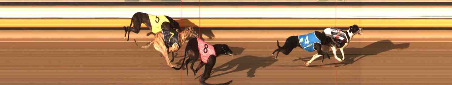 Photo finish for Warrnambool Race 3