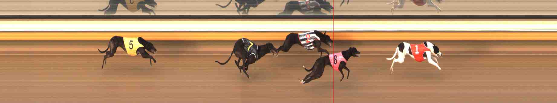 Photo finish for Warrnambool Race 4