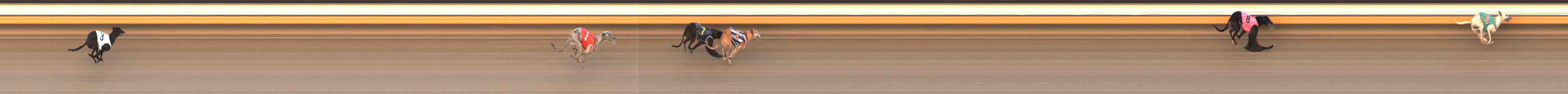 Photo finish for Warrnambool Race 5