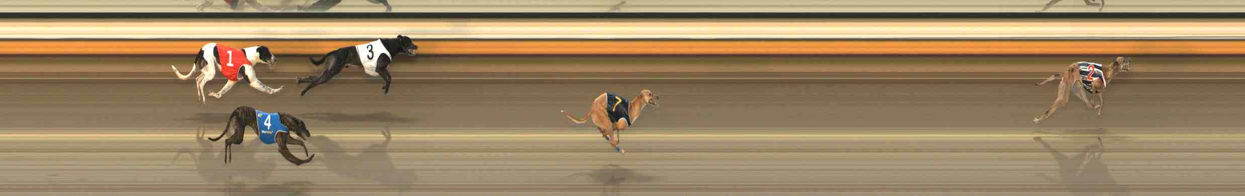 Photo finish for Warrnambool Race 6