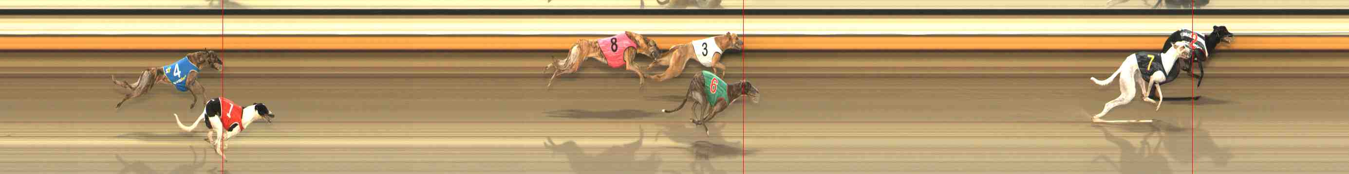 Photo finish for Warrnambool Race 7