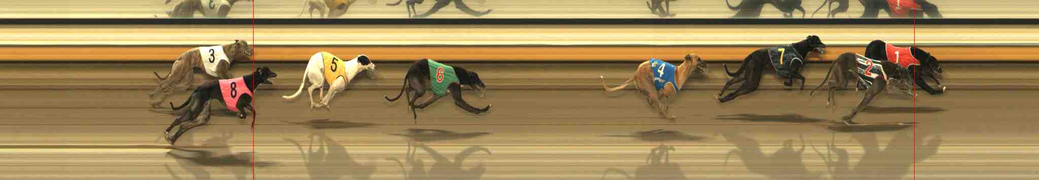 Photo finish for Warrnambool Race 8