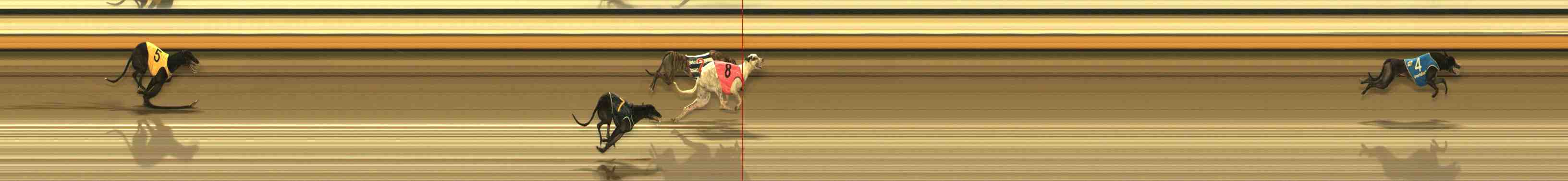 Photo finish for Warrnambool Race 9