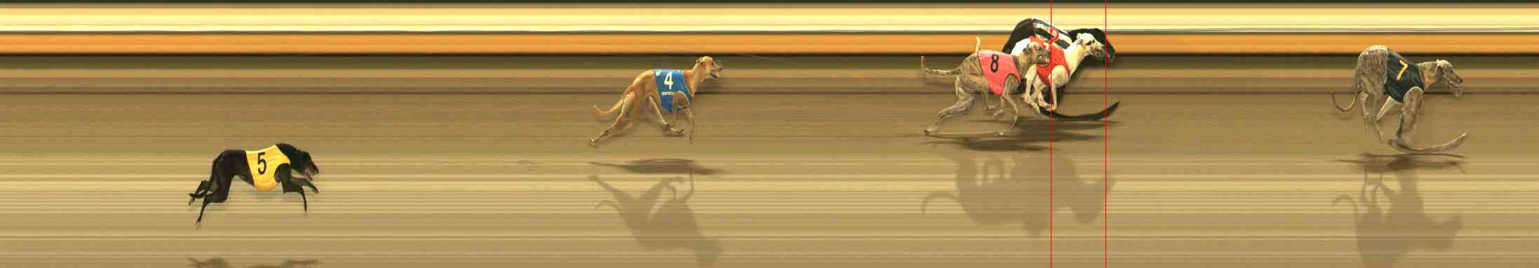 Photo finish for Warrnambool Race 11