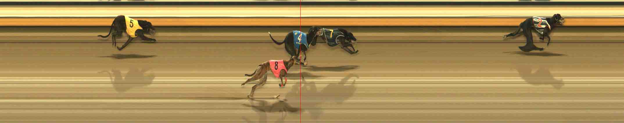 Photo finish for Warrnambool Race 12