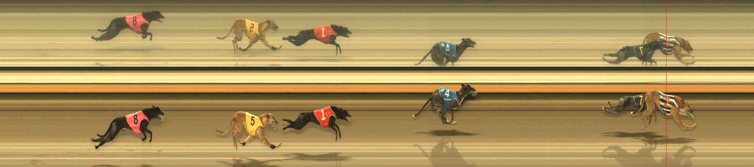 Photo finish for Warrnambool Race 13