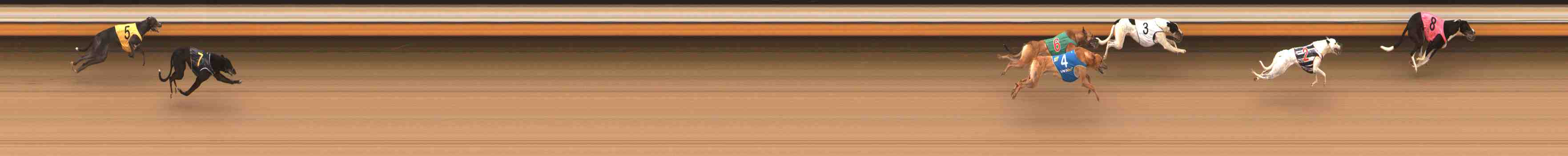 Photo finish for Warrnambool Race 1