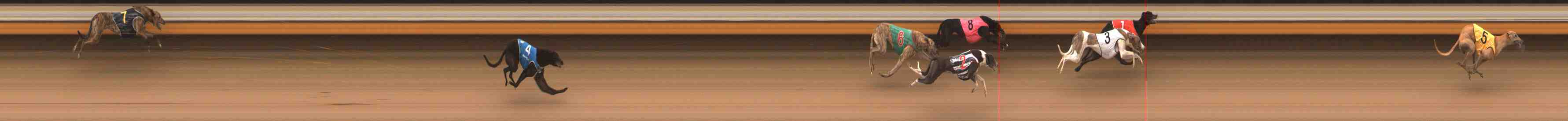 Photo finish for Warrnambool Race 2