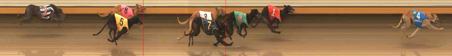 Photo finish for Warrnambool Race 3