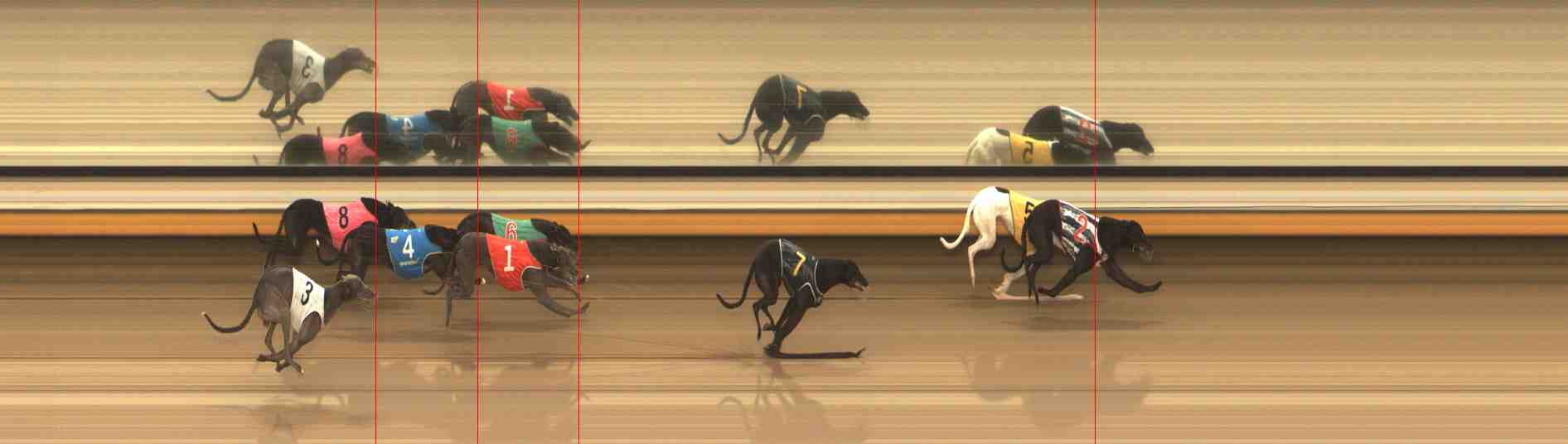 Photo finish for Warrnambool Race 4