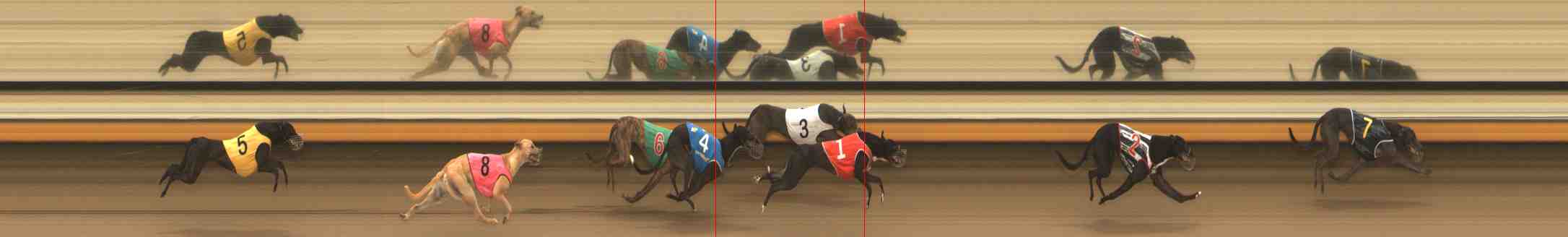 Photo finish for Warrnambool Race 5