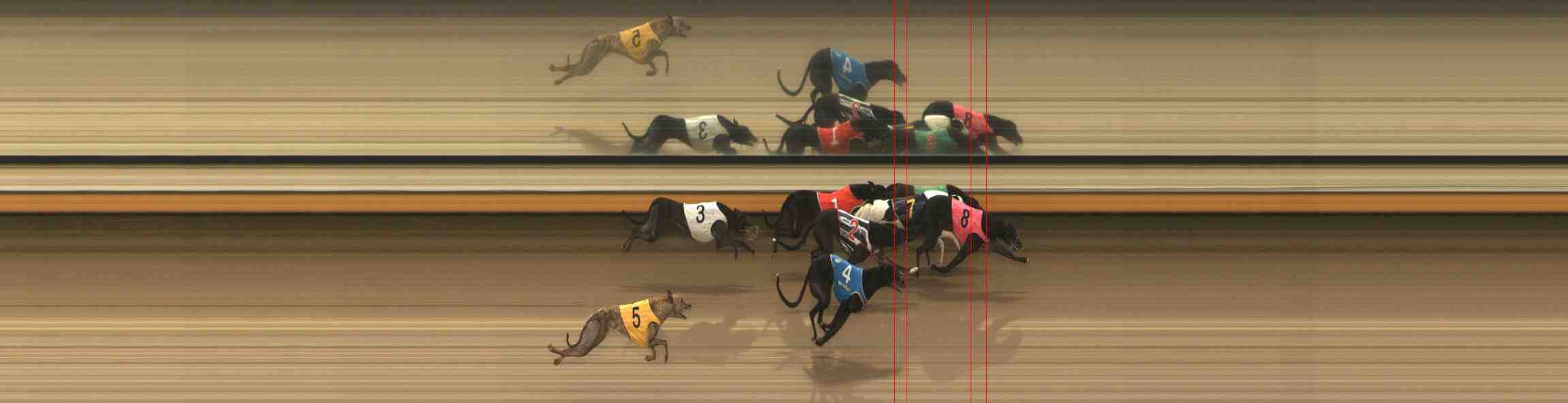 Photo finish for Warrnambool Race 6