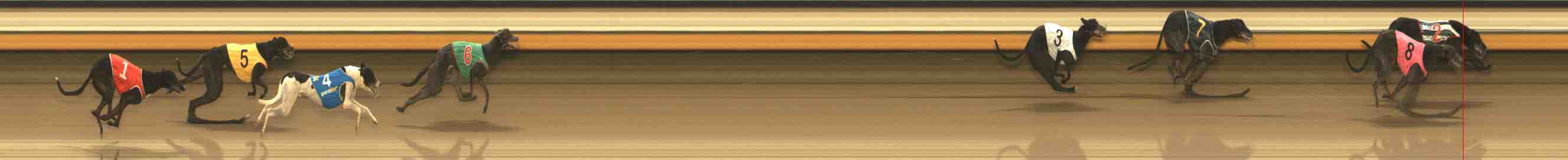 Photo finish for Warrnambool Race 7