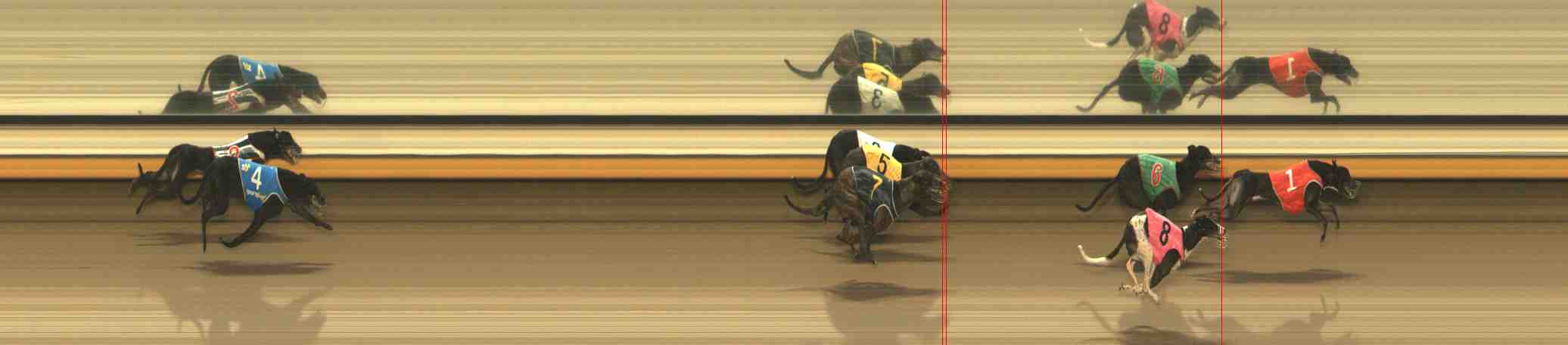 Photo finish for Warrnambool Race 8
