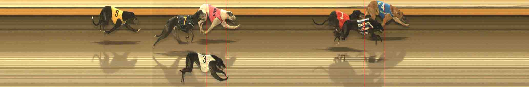 Photo finish for Warrnambool Race 9