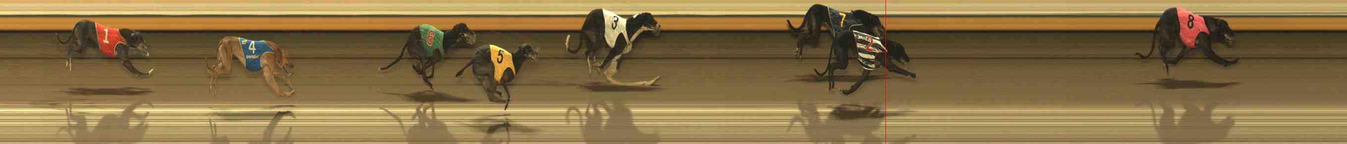 Photo finish for Warrnambool Race 10