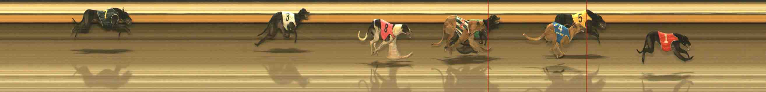 Photo finish for Warrnambool Race 11